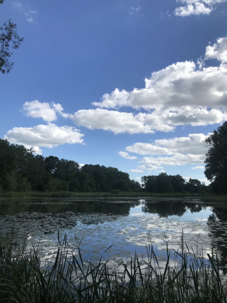 Fotos sobre el clima en Sovetsk. Pronósticos del tiempo con hermosas fotos de set479