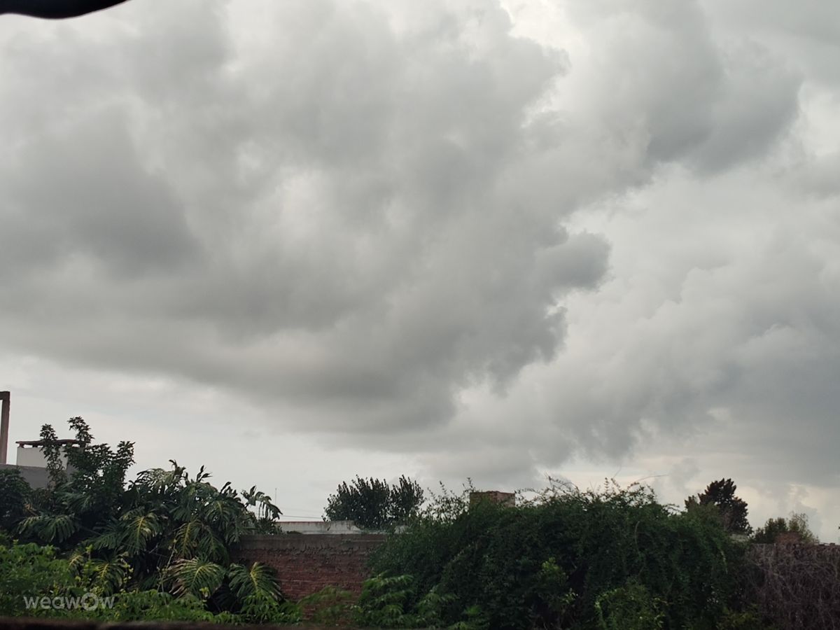 Weather Photos in Sarandí. Weather forecasts with beautiful photos by Belu Salazar