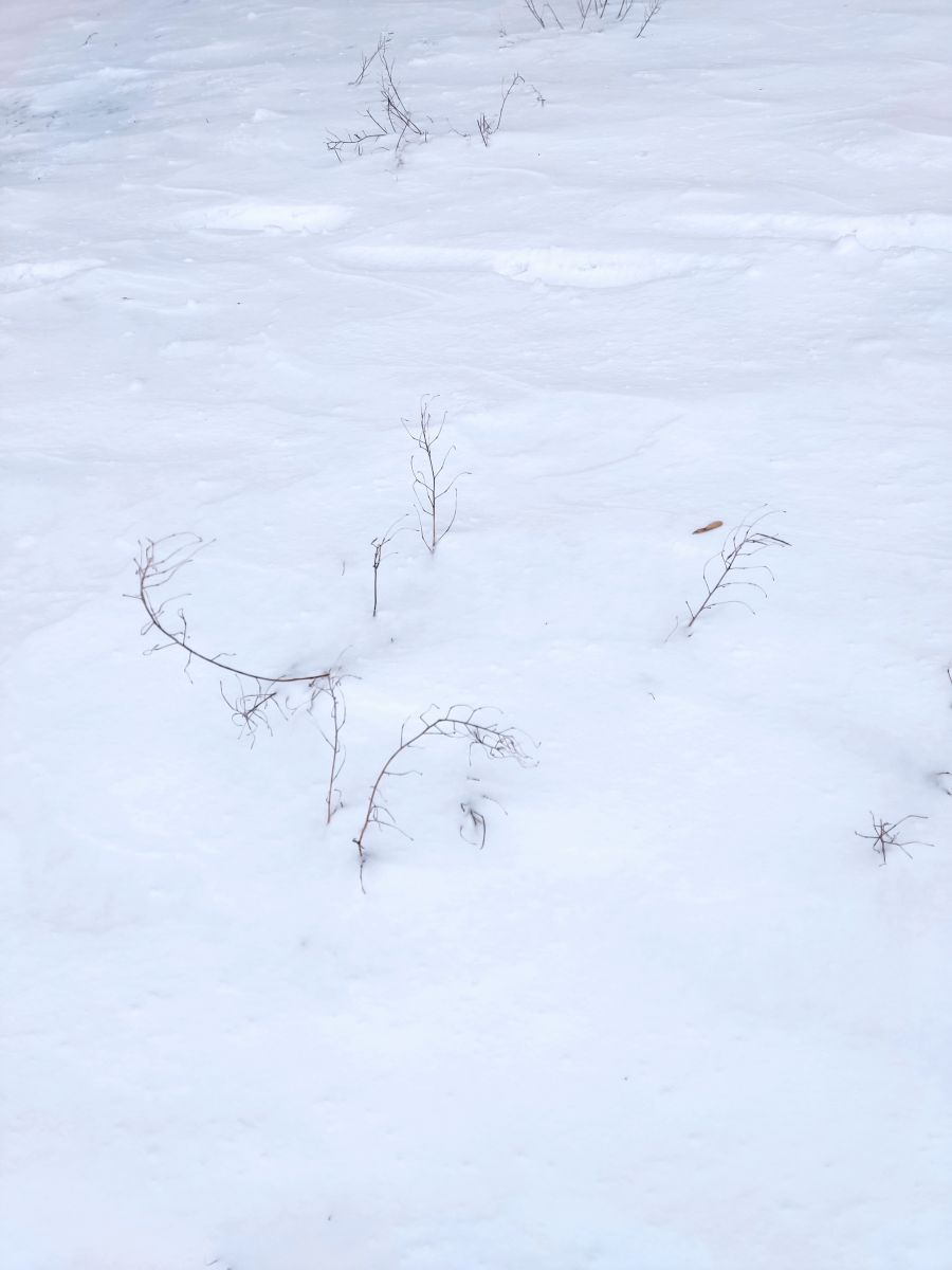 Weather Photos in Dnipropetrovsk. Weather forecasts with beautiful photos by Natal'a Nogtenko