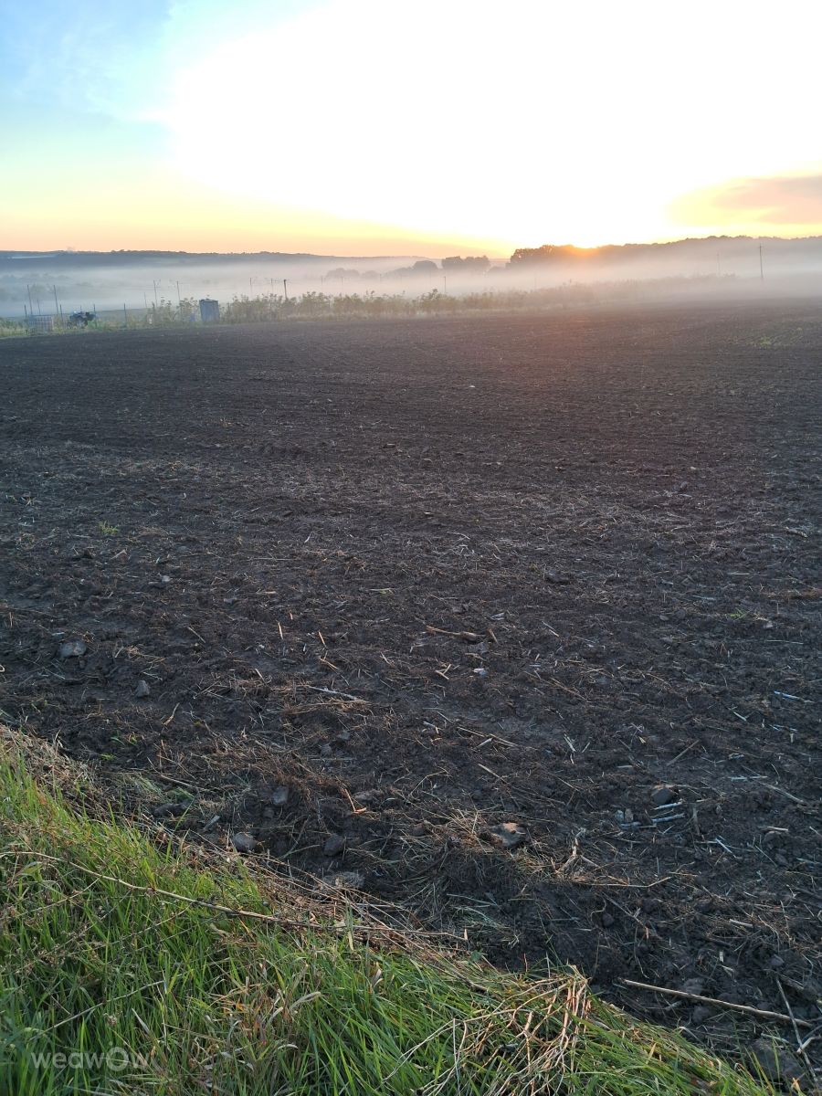 Weather Photos in Bohdanivtsi. Weather forecasts with beautiful photos by urashm