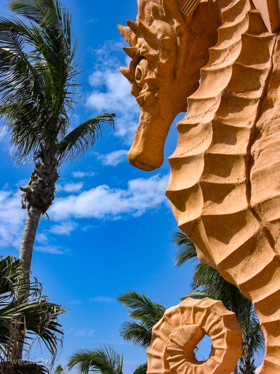 Weather Photos in Bahamas. Weather forecasts with beautiful photos by GrainyBlues