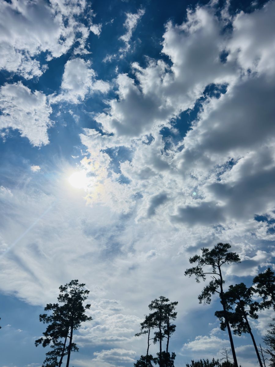 摄影师 RWDacy_SkyArt，Houston的天气照片 - Weawow