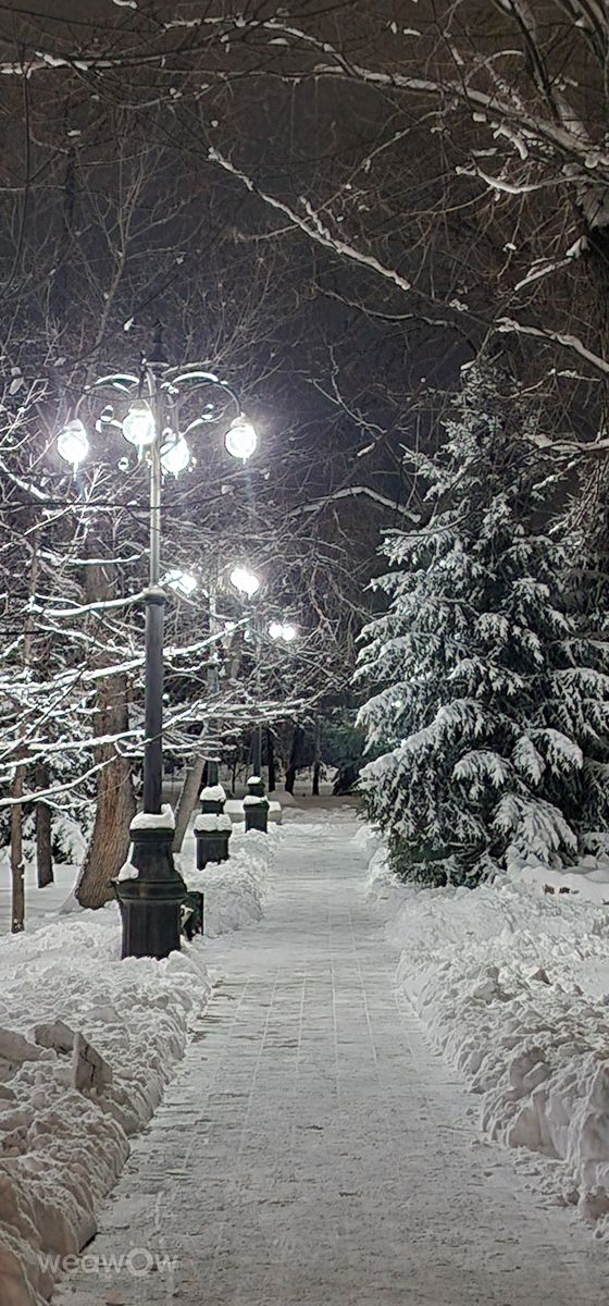 Fotos sobre el clima en Kazajstán. Pronósticos del tiempo con hermosas fotos de andriei