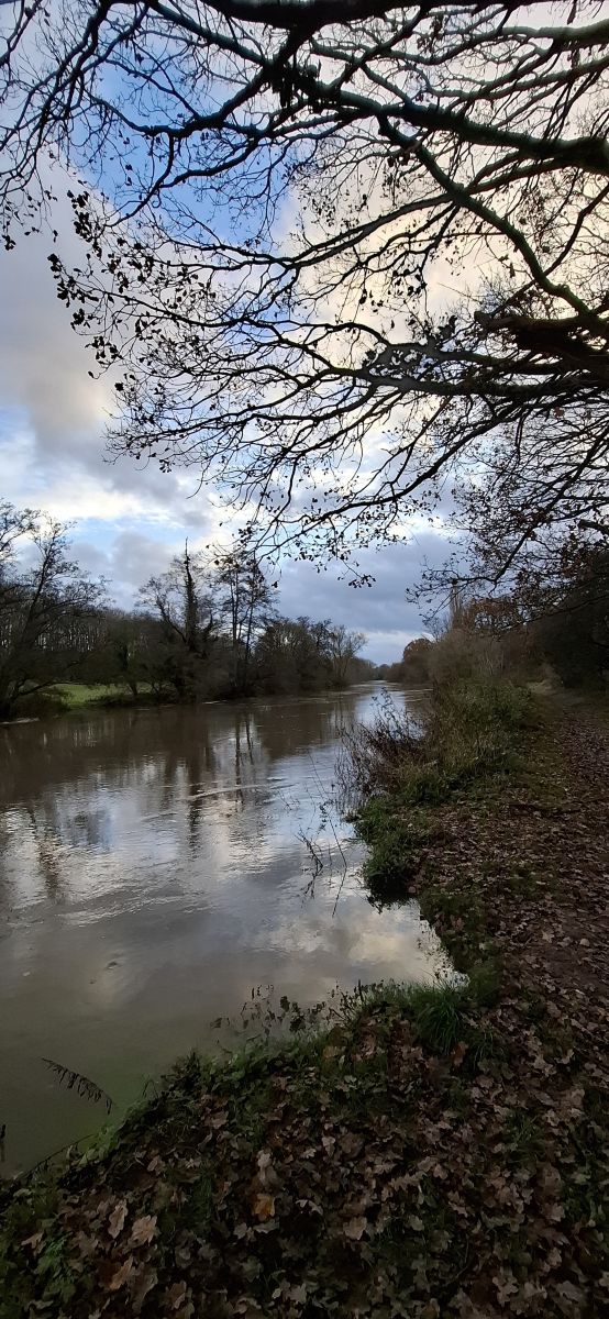 写真家 Lolli、Wateringburyの天気写真 - Weawow