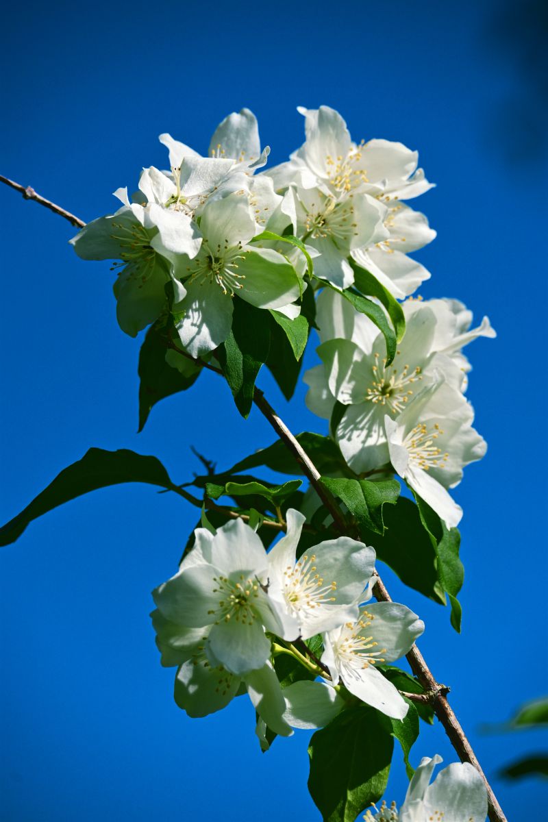 Weather Photos in Finland. Weather forecasts with beautiful photos by Kokorhekkus