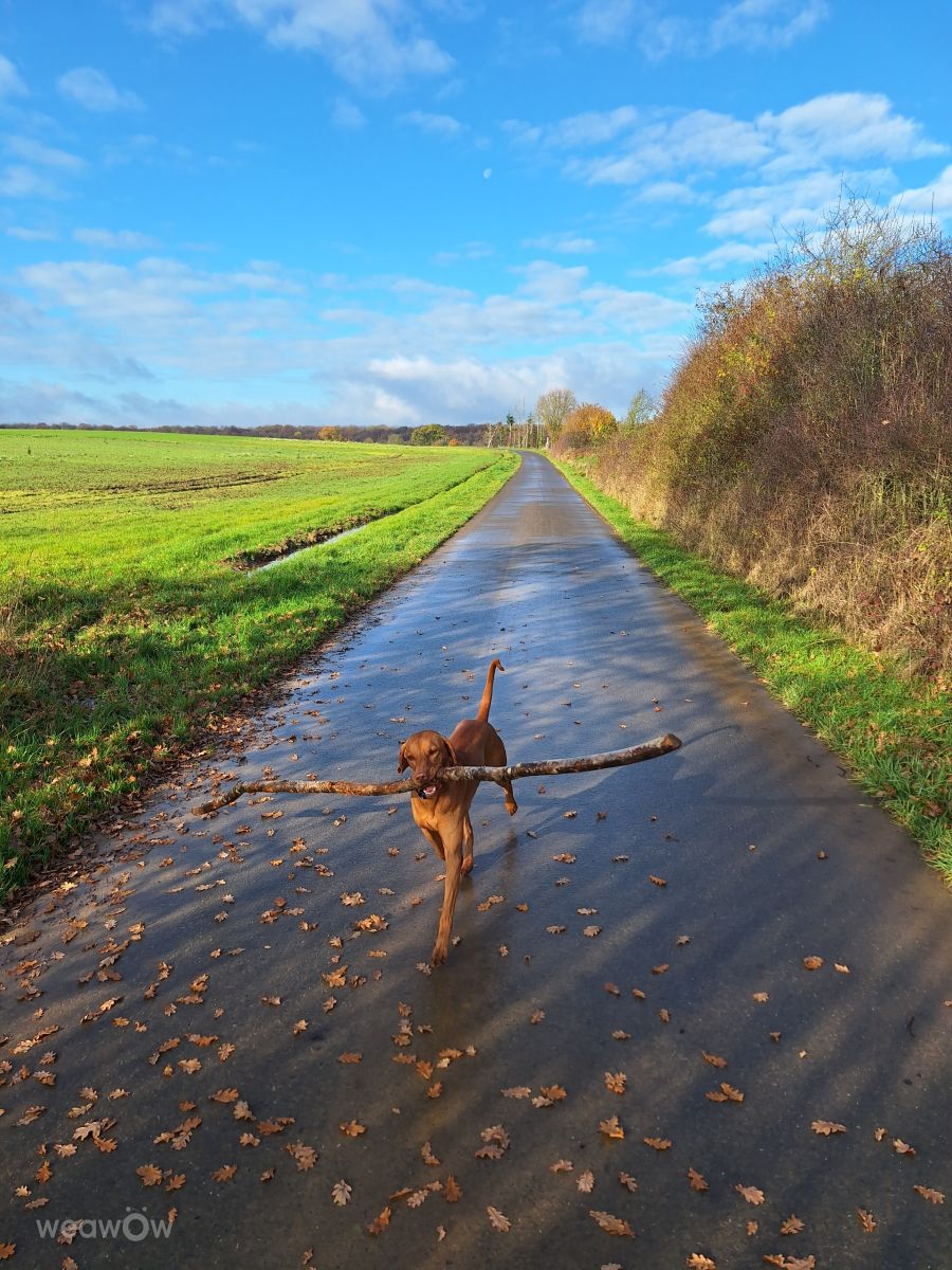 Weather forecasts with beautiful photos by lremmy