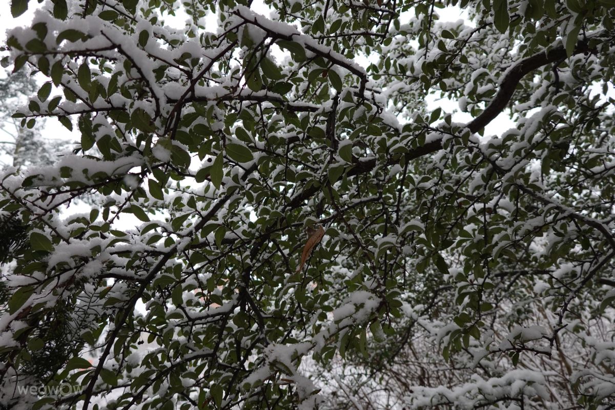 Fotos do tempo em Praha 4. Previsões do tempo com lindas fotos de Vasek325