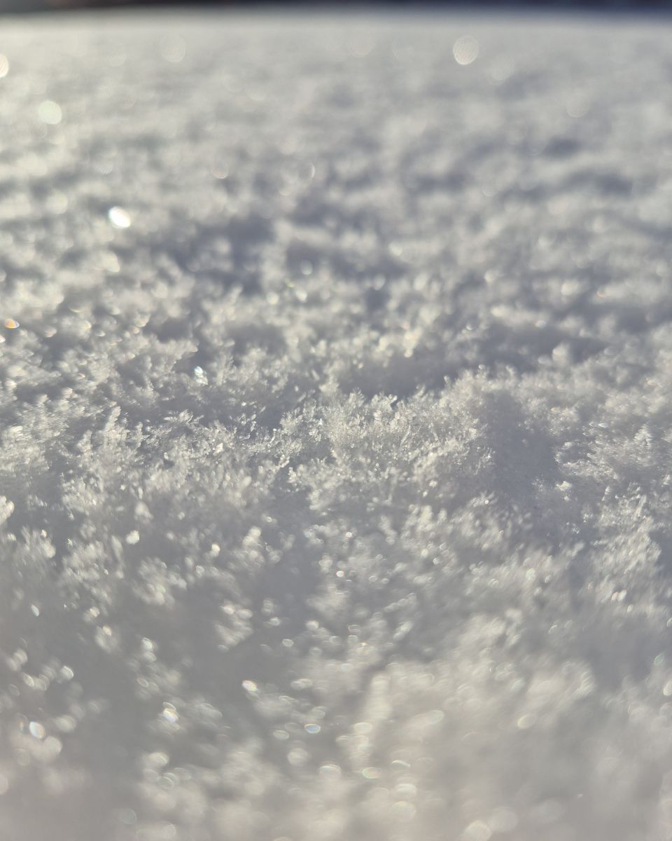 Fotos sobre el clima en Bila Tserkva. Pronósticos del tiempo con hermosas fotos de Маргарита Котенко