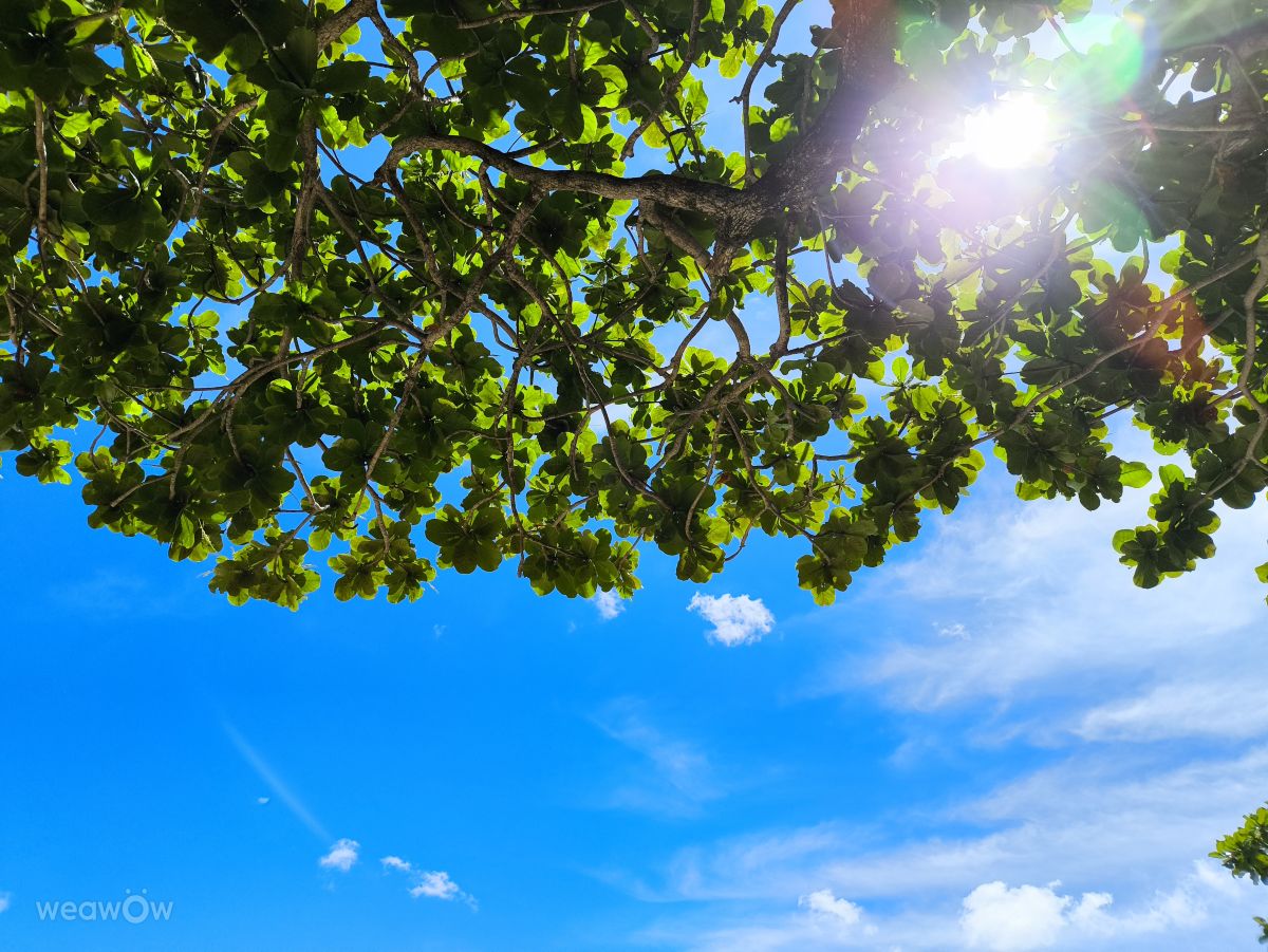 Fotografos Takimi-sky, Fotos do tempo em Nishihara - Weawow