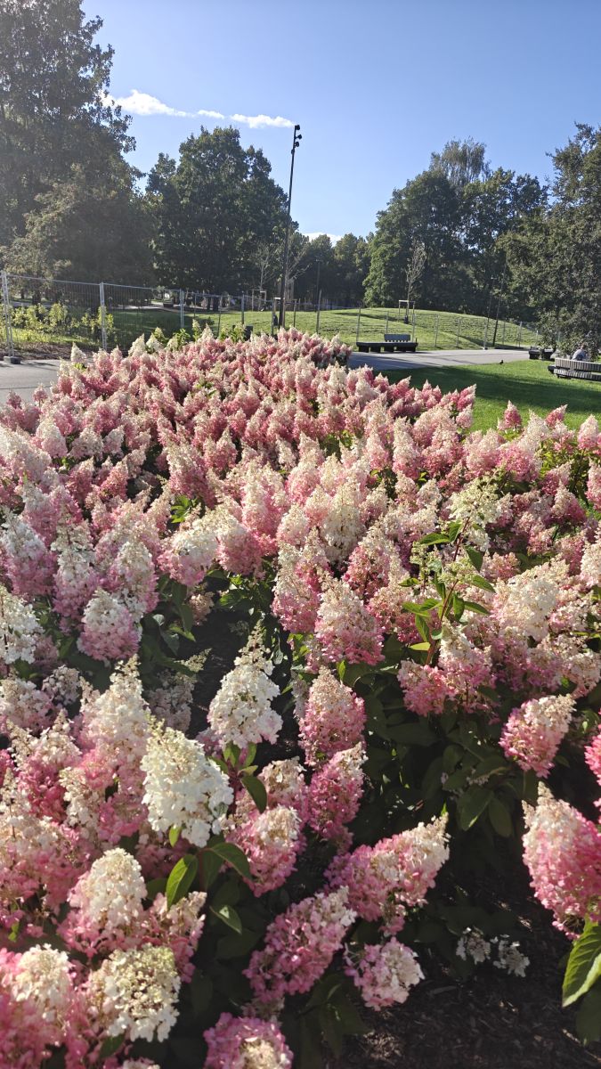 Photos météo à Riga. Prévisions météo avec de superbes photos de newgen