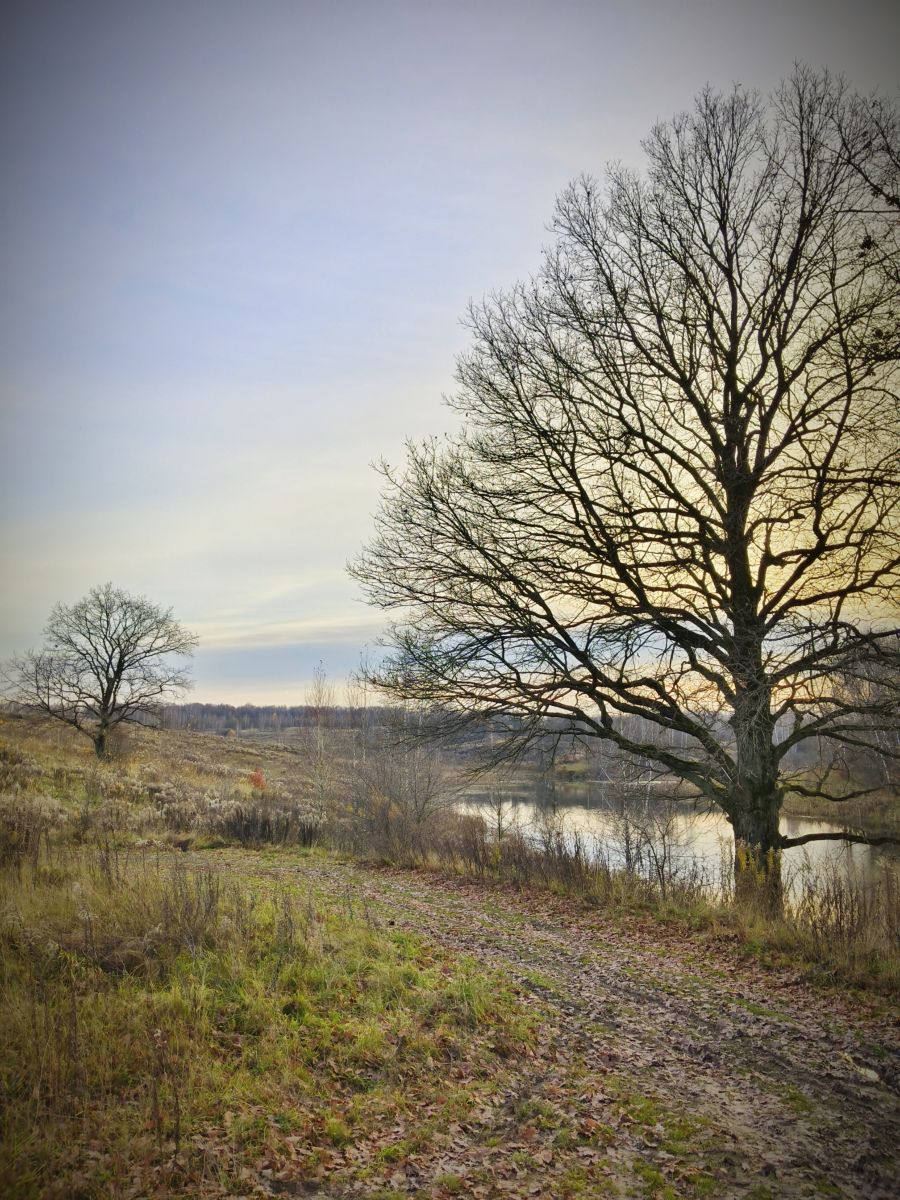 Fotos sobre el clima en Tula. Pronósticos del tiempo con hermosas fotos de Aleksei