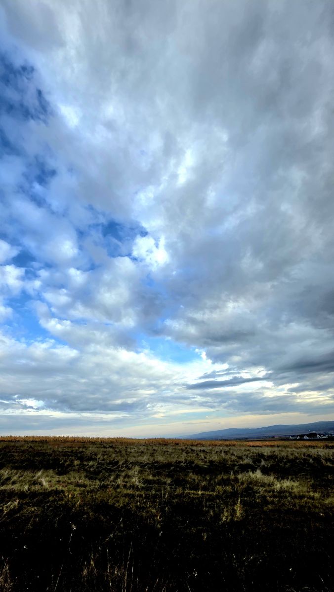 Photographer Camelyon, Weather Photos in Municipiul Suceava - Weawow