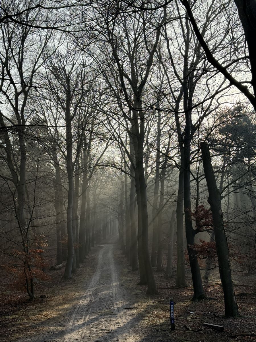 Weather Photos in The Netherlands. Weather forecasts with beautiful photos by Zjee