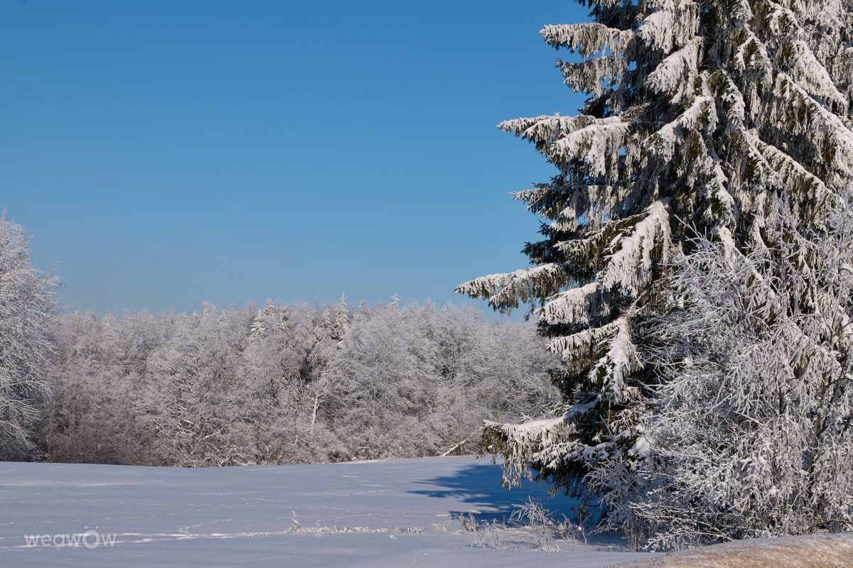 Weather Photos in Minsk. Weather forecasts with beautiful photos by Aleh_Narushevich