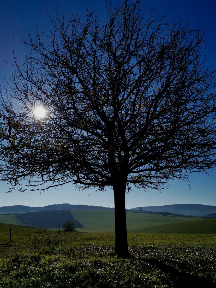Wettervorhersagen mit schönen Fotos von Vcsaba22
