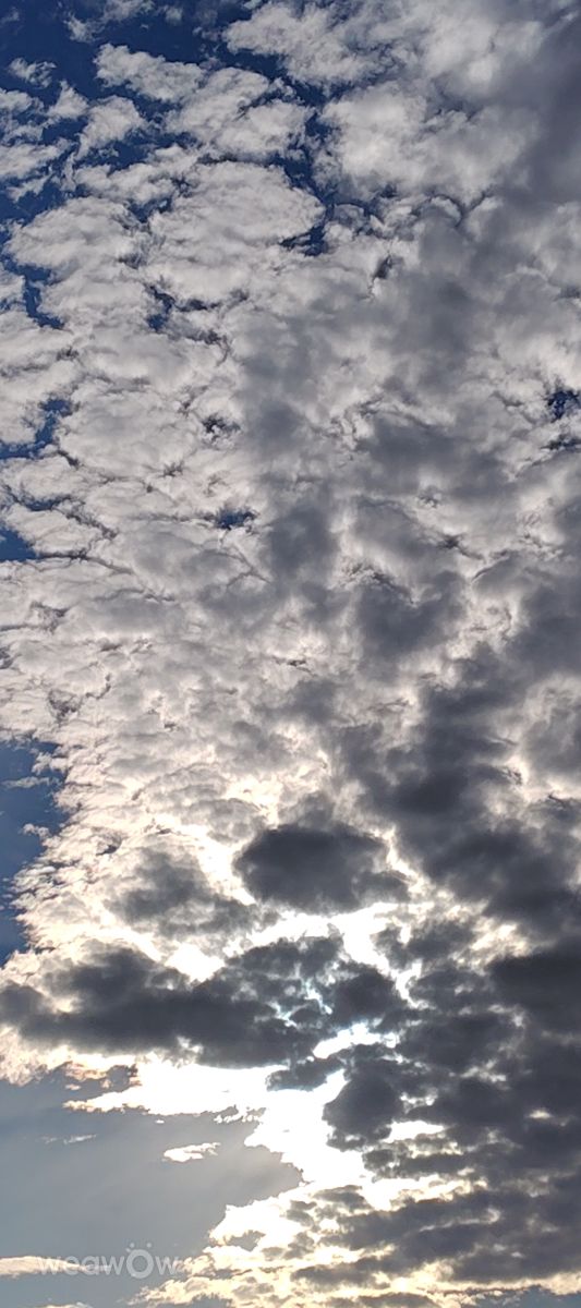 Weather Photos in Honshu. Weather forecasts with beautiful photos by umemui