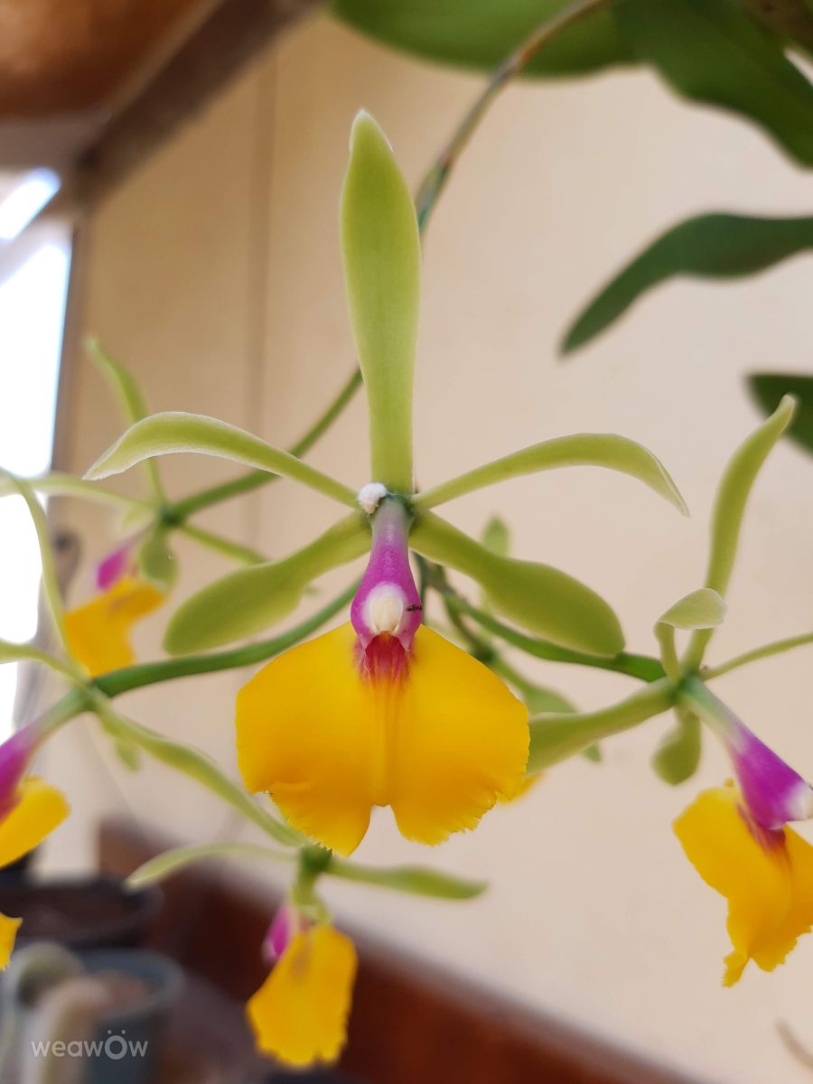 Santa Catarina的天气照片. 天气预报，带VIAꓨEM_E_HISTÓЯIA精美的照片