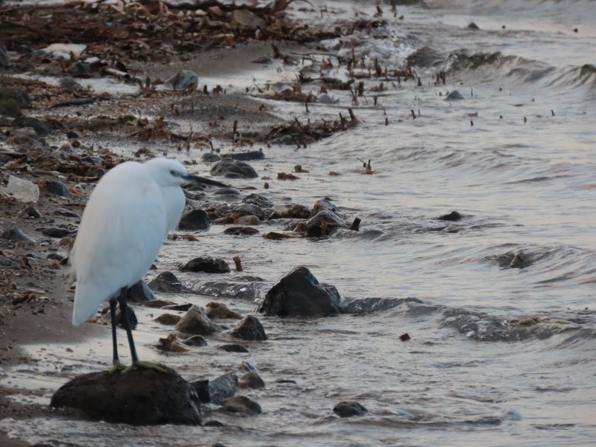 Hình ảnh Thời tiết ở Israel. Dự báo thời tiết với những bức ảnh đẹp của Sviatoslav