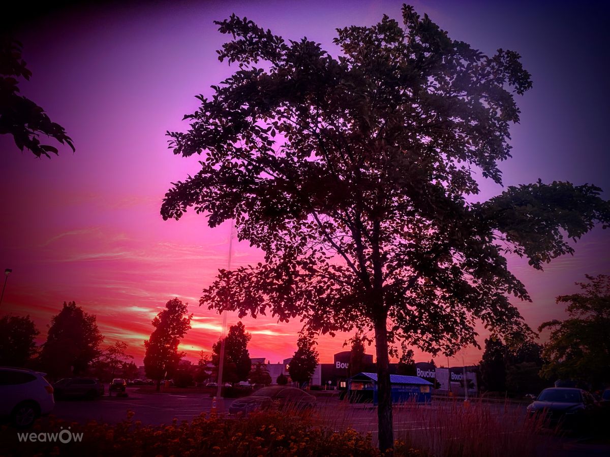 Weather forecasts with beautiful photos by Lulu5523