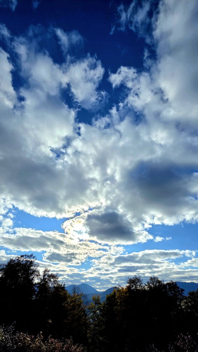 Weather Photos in Oraş Broşteni. Weather forecasts with beautiful photos by Camelyon