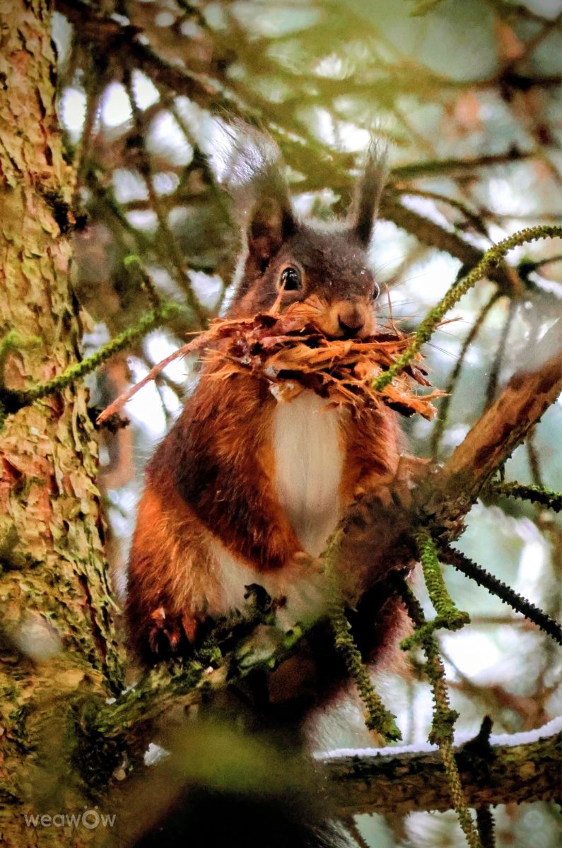 Weather Photos in Wellinghofen. Weather forecasts with beautiful photos by Lotti5507