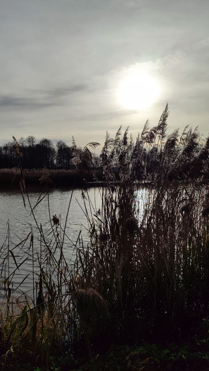 Photographer Romek58, Weather Photos in Województwo Łódzkie - Weawow