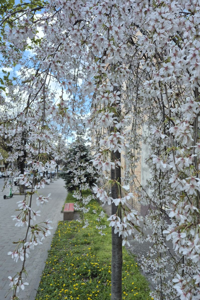 Weather Photos in Bila Tserkva. Weather forecasts with beautiful photos by Маргарита Котенко