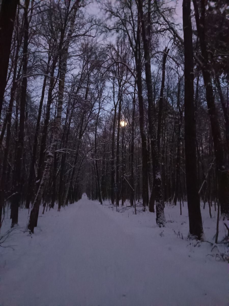 Photographer Amanda_and_Valdemar_Che, Weather Photos in Izmaylovo District - Weawow