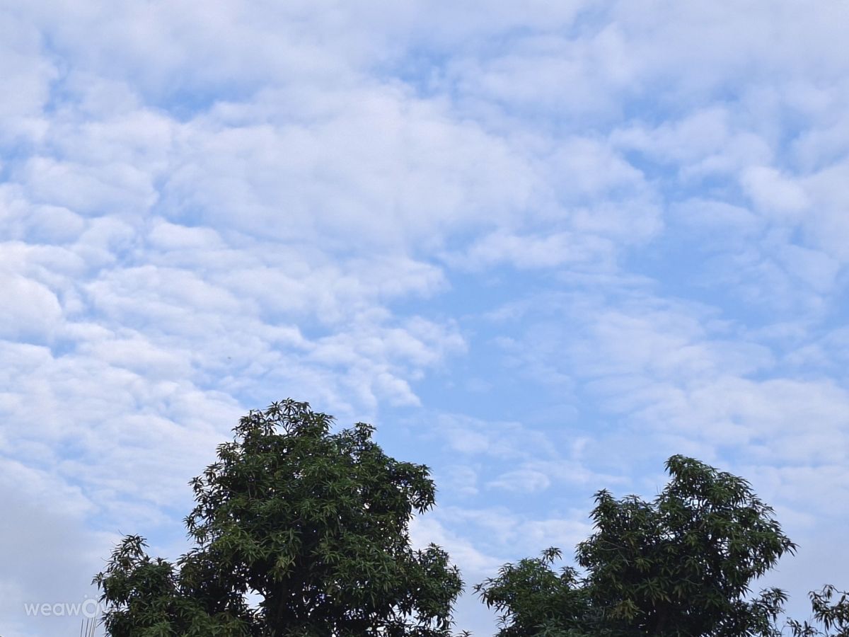 世界の天気写真. Wen-ya Huangの美しい写真による天気予報