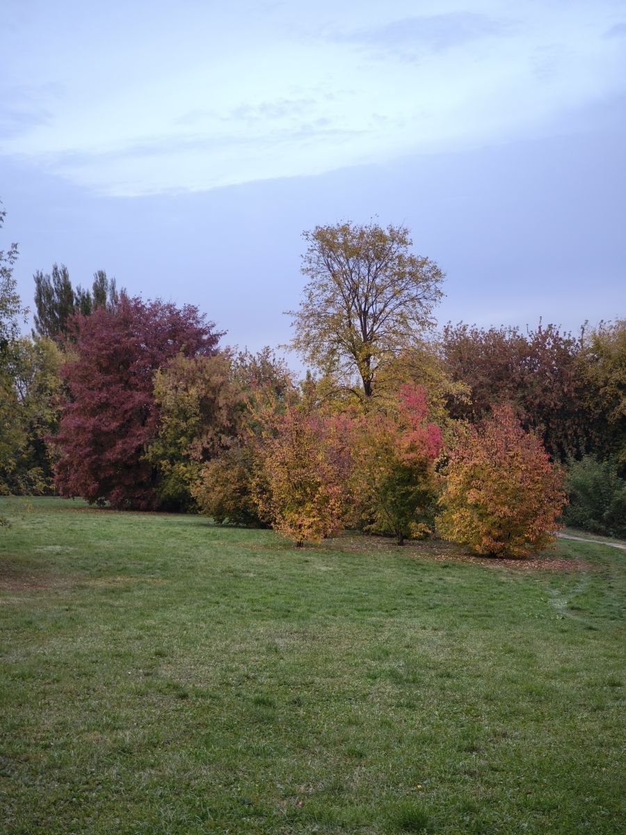 Photographer Amanda_and_Valdemar_Che, Weather Photos in Kolomenskoye - Weawow