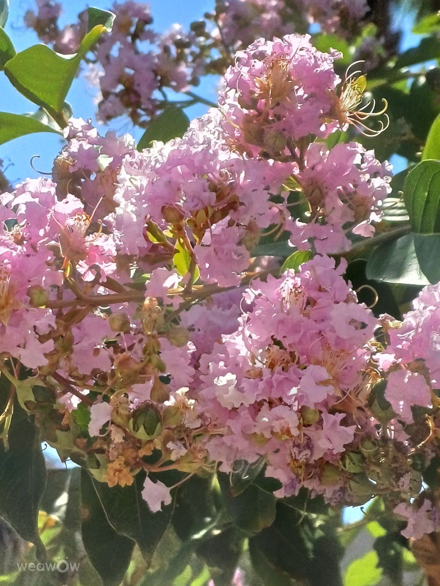 Weather Photos in Holon. Weather forecasts with beautiful photos by Zaza