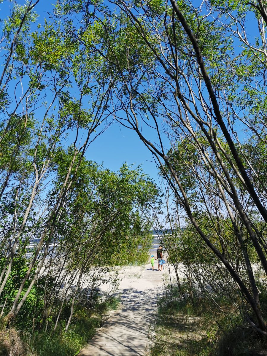 写真家 Helle_Pelogo、Jurmala Beachの天気写真 - Weawow