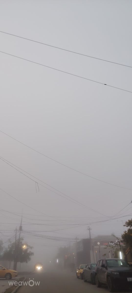 Wetter Photos Bagdad. Wettervorhersagen mit schönen Fotos von Ehab-Alatraqchi