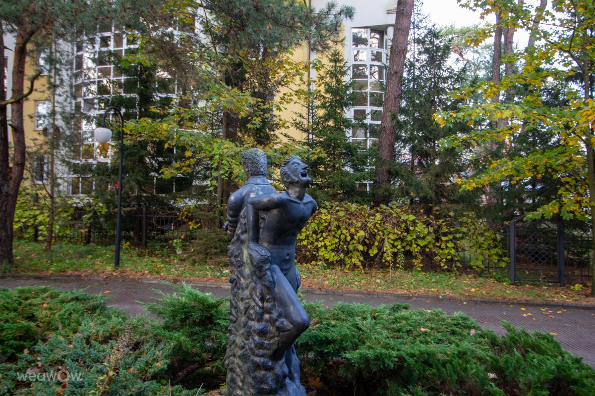 Fotos sobre el clima en Svetlogorsk. Pronósticos del tiempo con hermosas fotos de vintilator