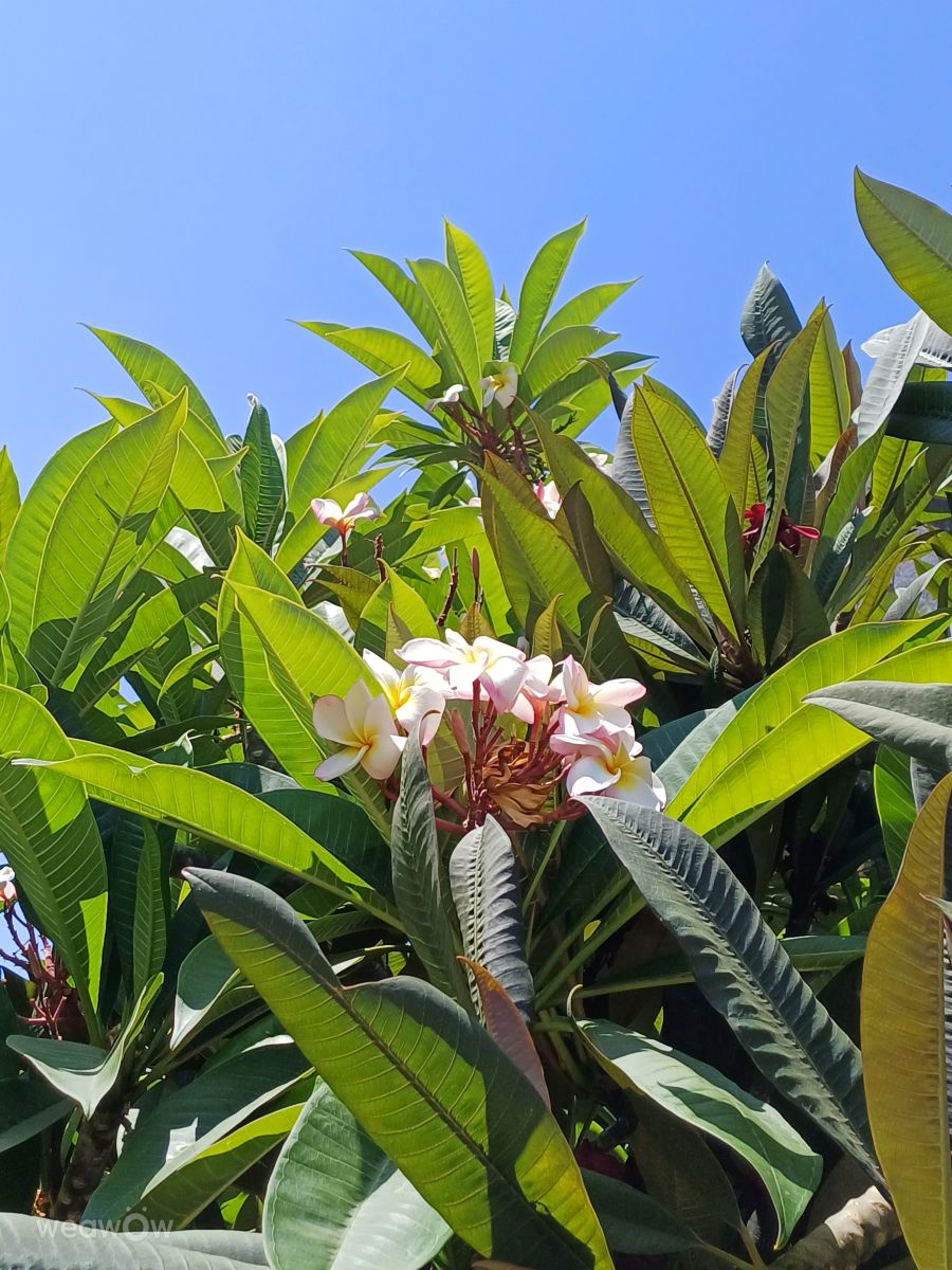Weather Photos in Holon. Weather forecasts with beautiful photos by Zaza