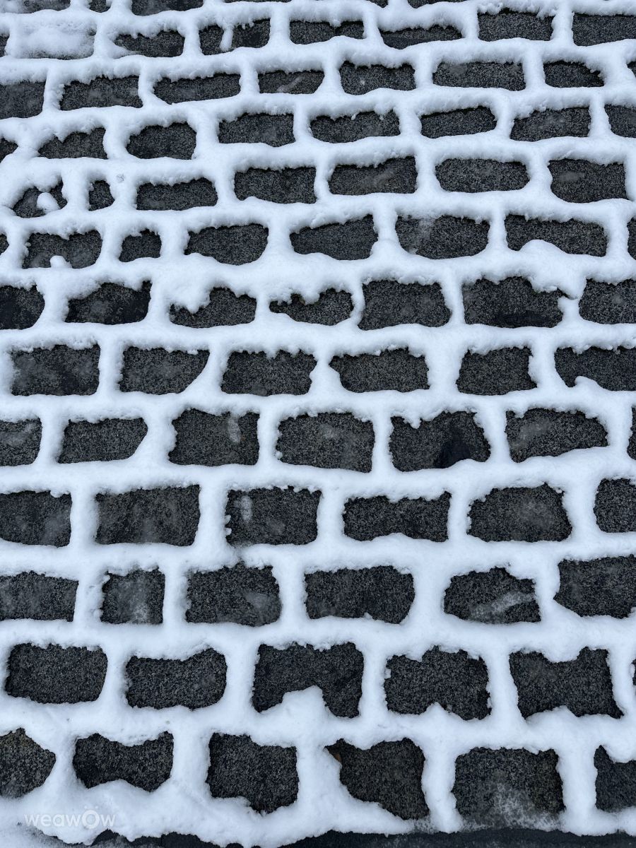 ロシアの天気写真. Rithaの美しい写真による天気予報