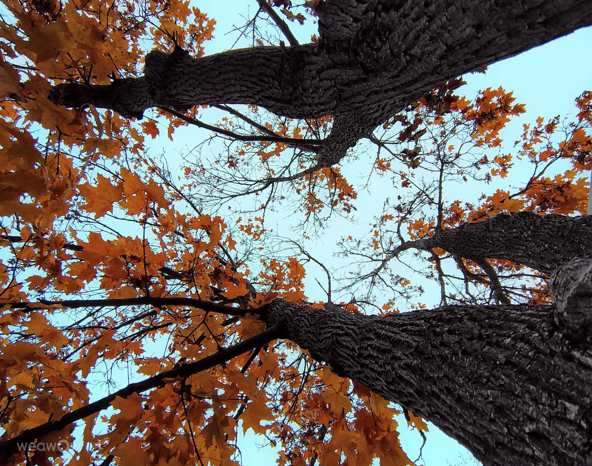 奇科的天气照片. 天气预报，带Ghostroku精美的照片