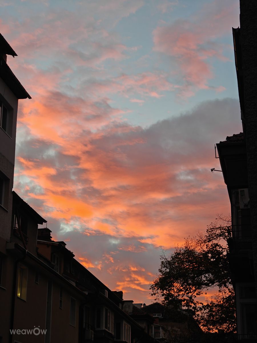 索菲亞的天气照片. 天气预报，带Rosiii精美的照片