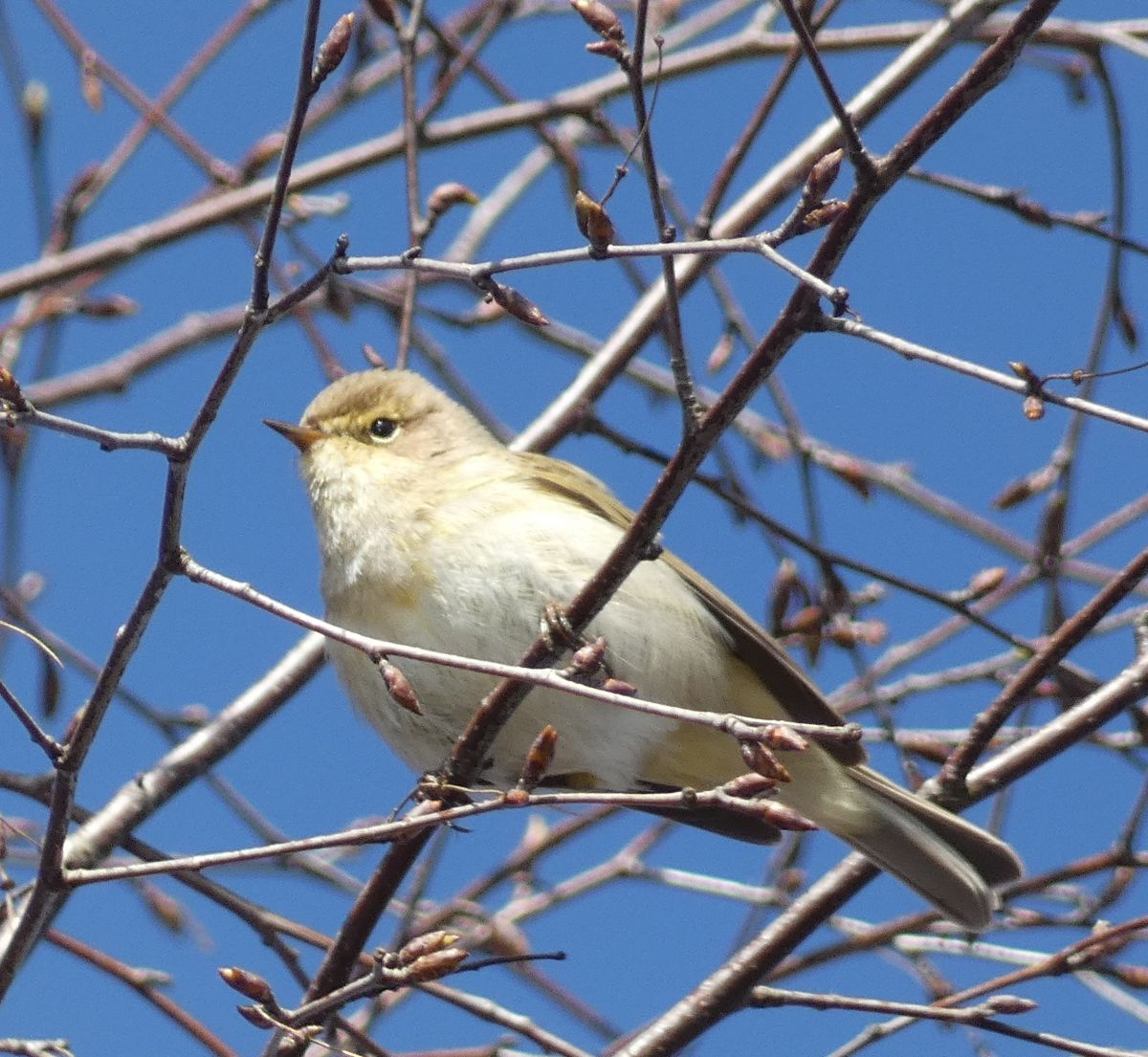 Фотографии Погоды в Ahlhorner Fischteiche. Прогнозы погоды с чудесными фотографиями, сделанными fwerner