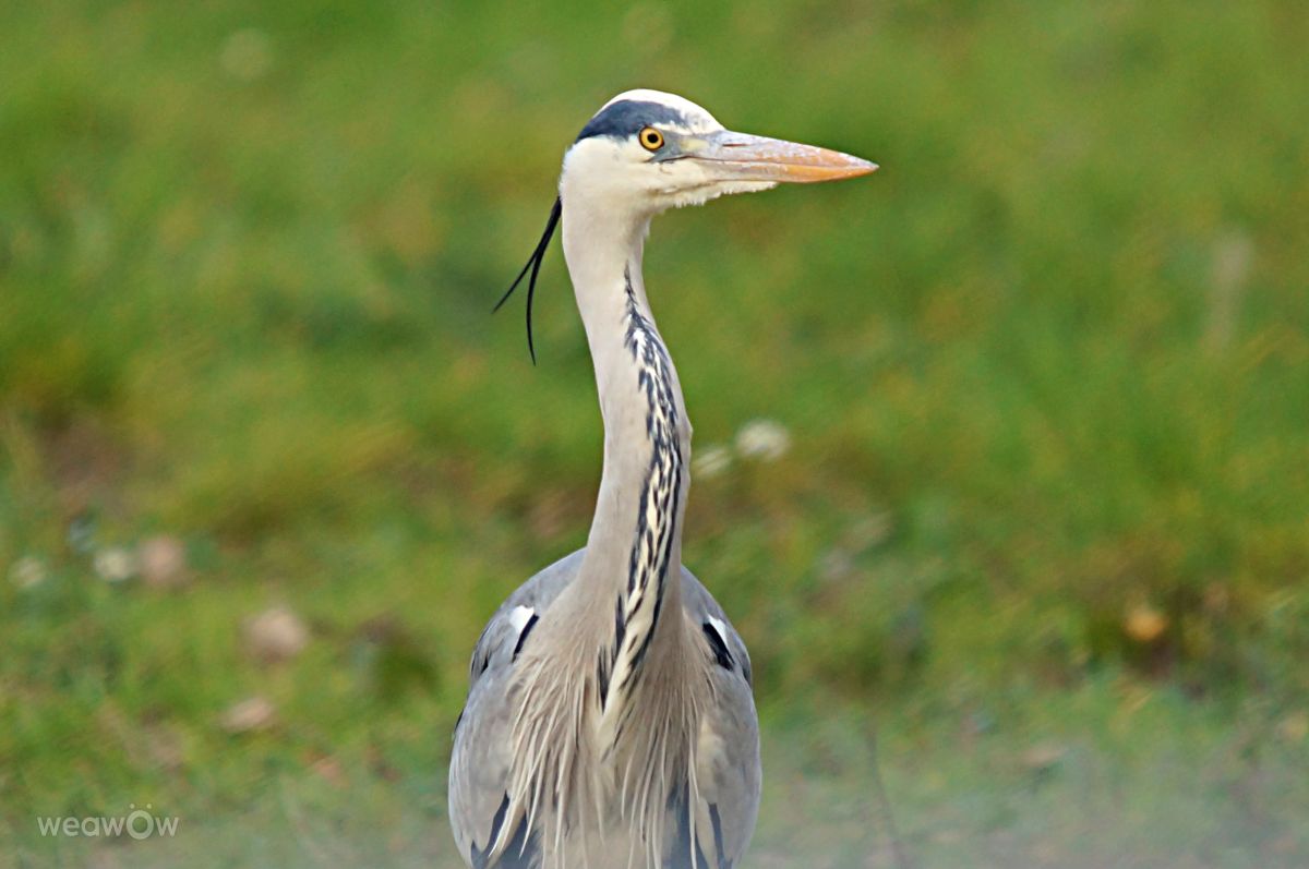 Weather Photos in Calvisson. Weather forecasts with beautiful photos by tony5636