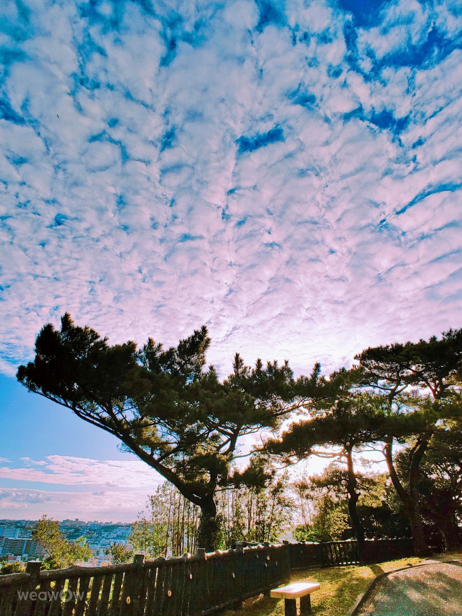 Captivating 沖縄 天気 予報 Background Art Captivating 沖縄 天気 予報 Background Art