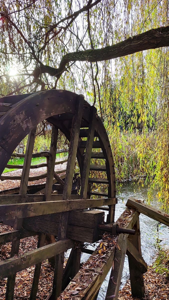 Photographer Romek58, Weather Photos in Województwo Łódzkie - Weawow