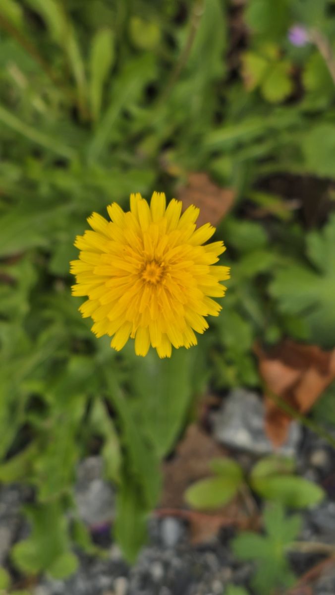 Photos météo à Auvergne-Rhône-Alpes. Prévisions météo avec de superbes photos de LuisCM
