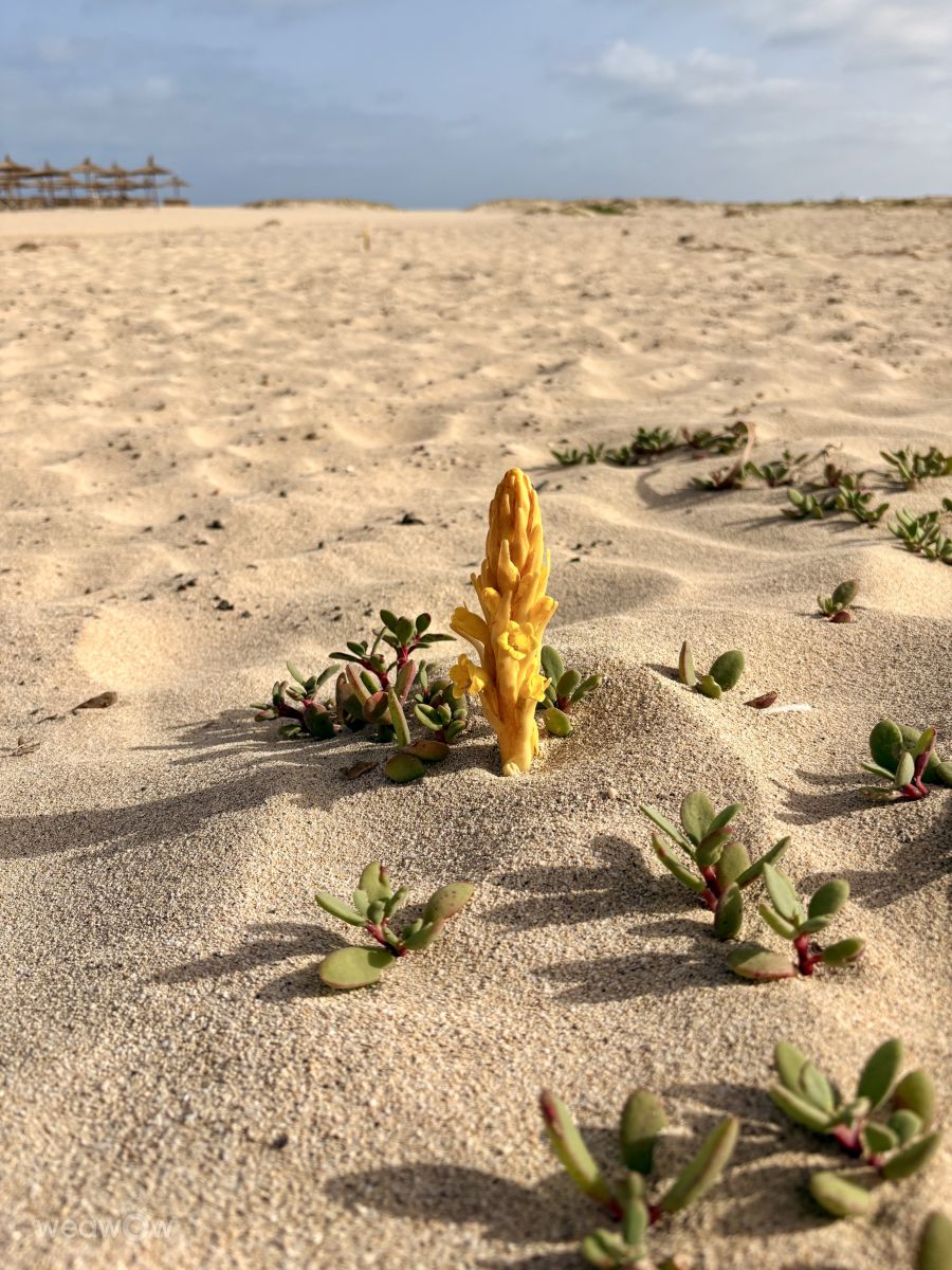 Weather forecasts with beautiful photos by Přemysl Machek
