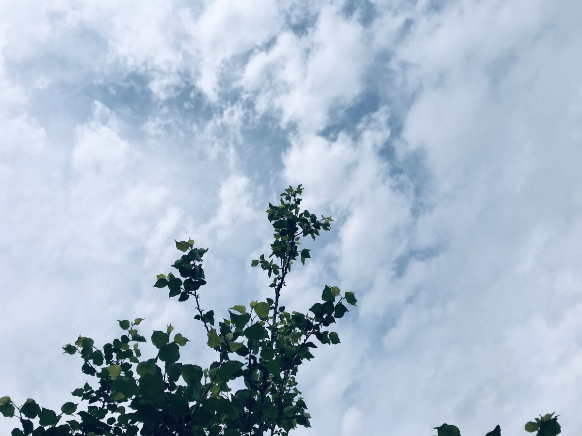 Weather Photos in Islamabad. Weather forecasts with beautiful photos by Ali Usman