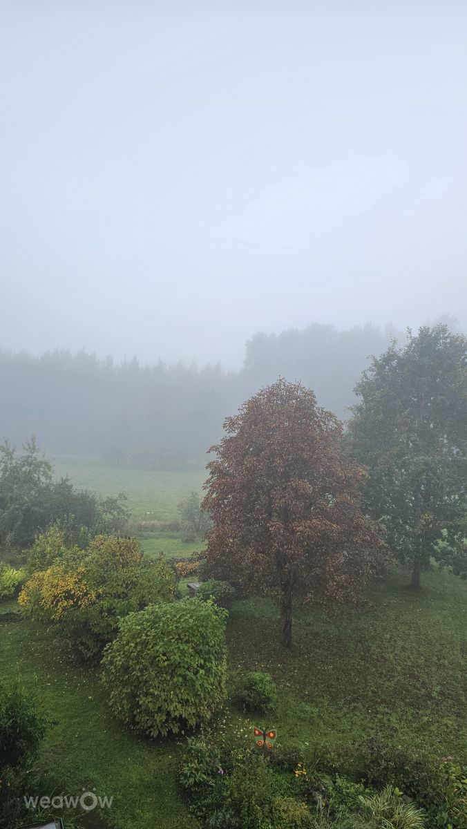 Weather Photos in Ogre. Weather forecasts with beautiful photos by Sandra Bokisha