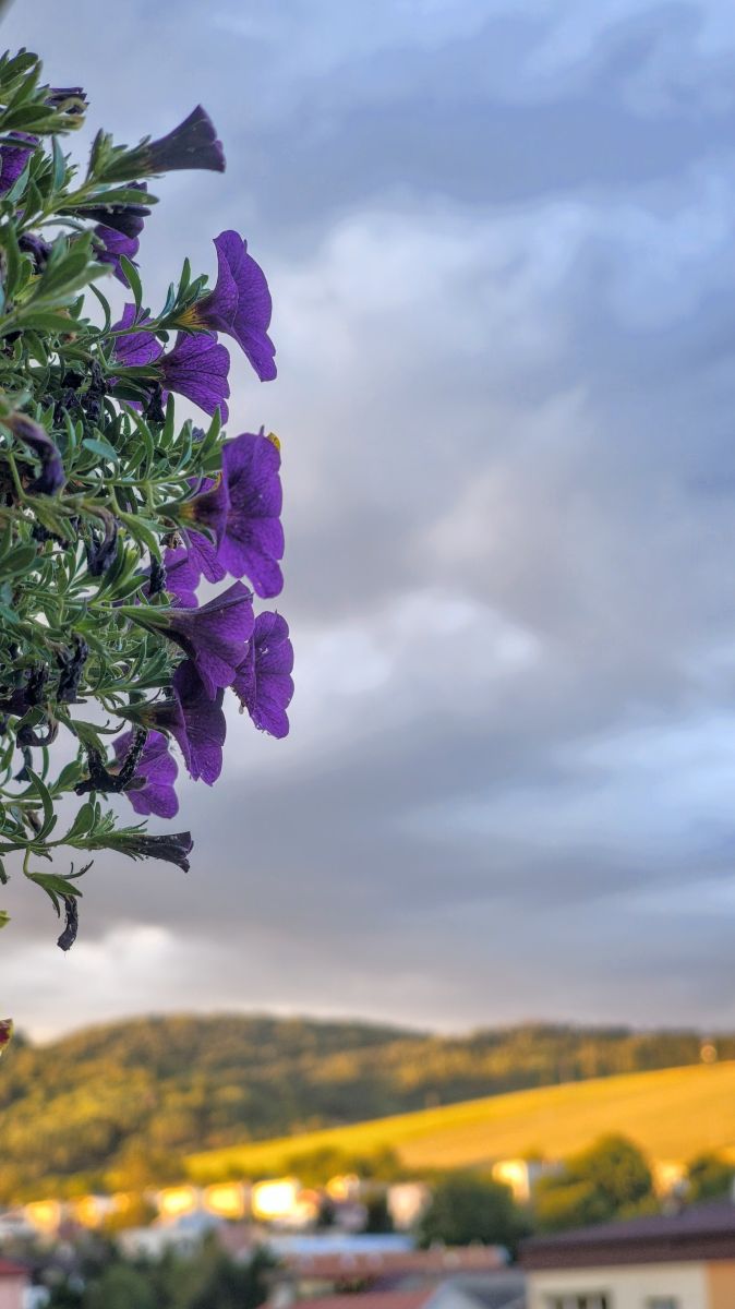 Fotos sobre el clima en Lipany. Pronósticos del tiempo con hermosas fotos de erik76b