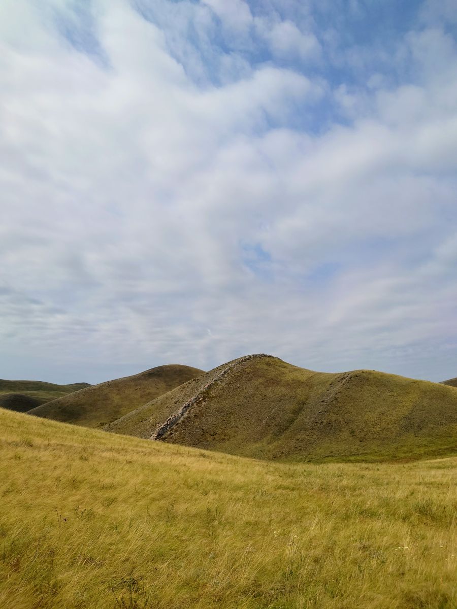 Weather Photos in Orenburgskaya Oblast'. Weather forecasts with beautiful photos by МарияЕкб