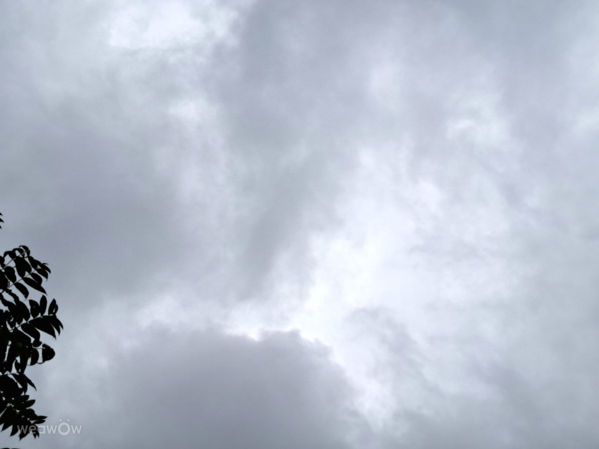 高雄市的天气照片. 天气预报，带Wen-ya Huang精美的照片