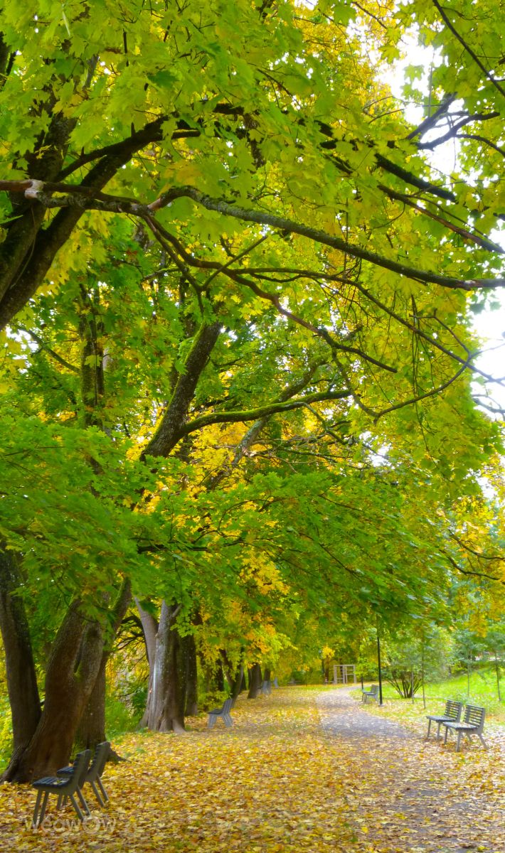 Fotos do tempo em Vilnius. Previsões do tempo com lindas fotos de Luka